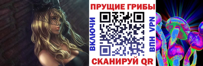 дарнет шоп  Керчь  Галлюциногенные грибы прущие грибы 