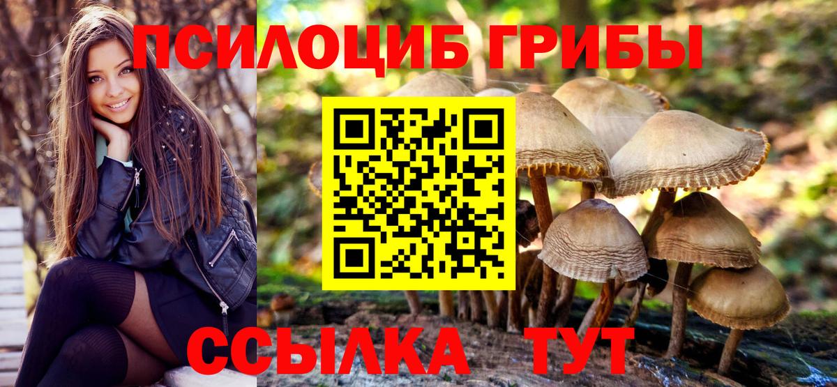 Галлюциногенные грибы GOLDEN TEACHER Керчь